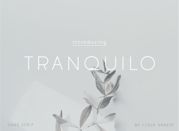 Tranquilo: The Minimalist Sans Serif for Clean Brand Identity