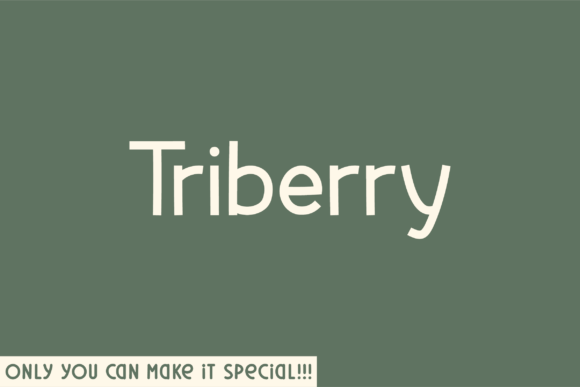 Triberry: The Unique Sans Serif Typeface for Scroll-Stopping Visuals